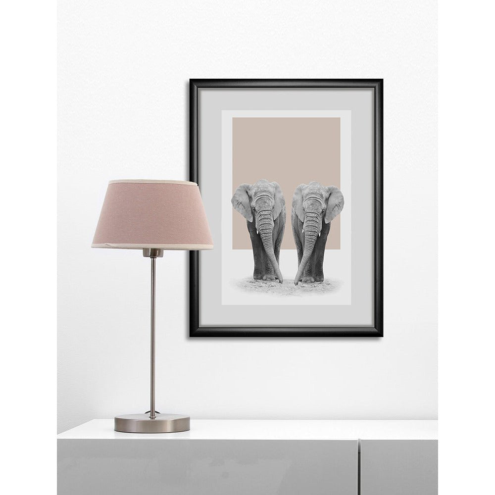 Lijstfoto - Olifantliefde