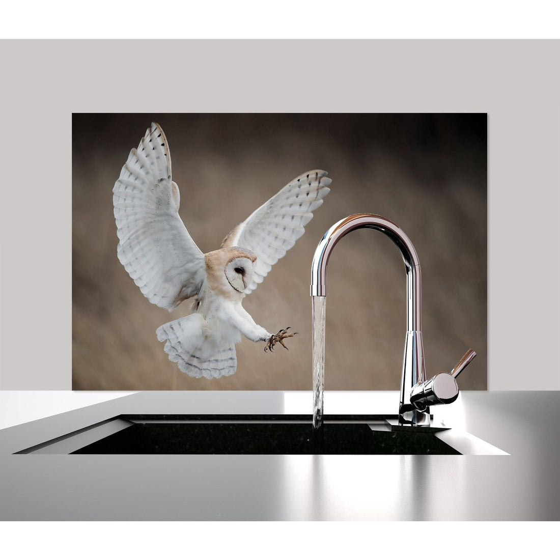Spatscherm - Witte Uil