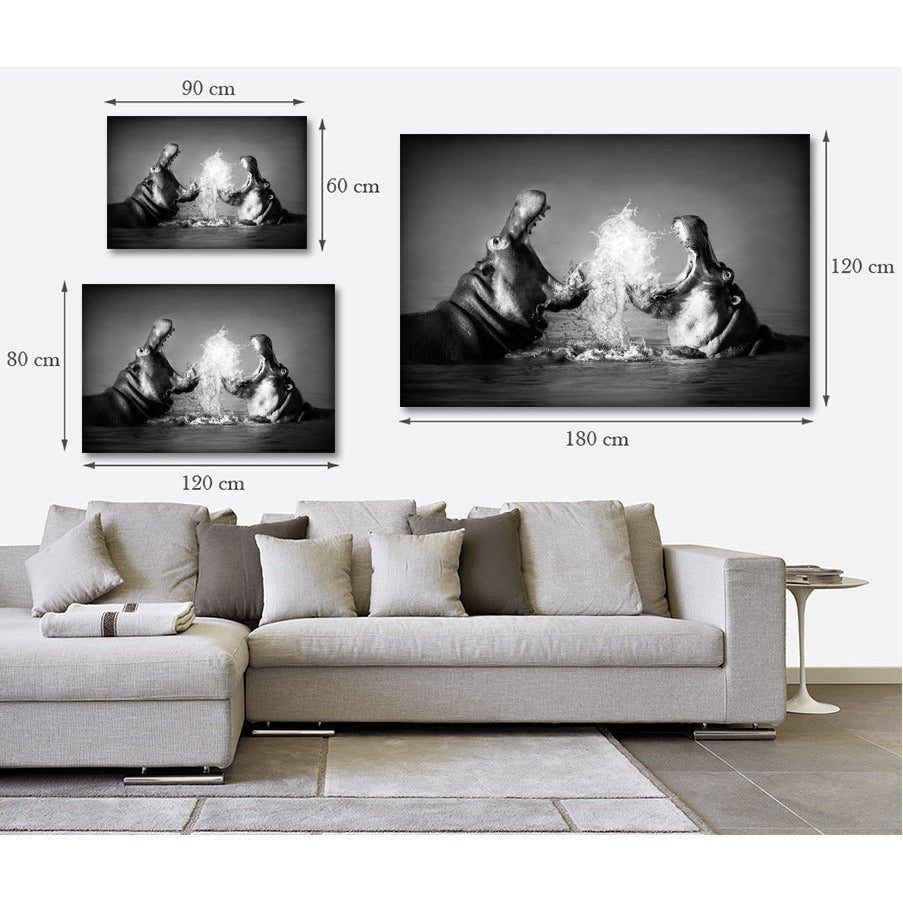 Foto op acrylglas - Happy Hippos