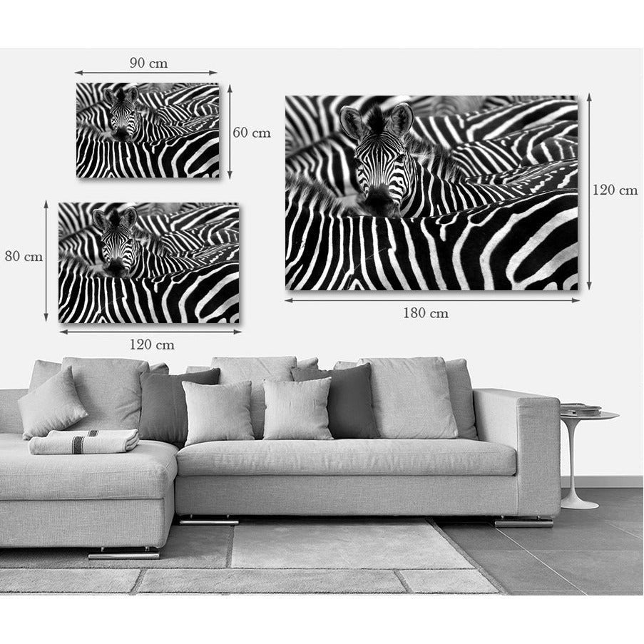 Acrylglas afbeelding - Zebra World