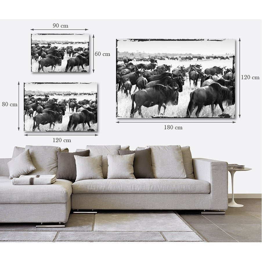 Acrylglas afbeelding - Bizon Migreren