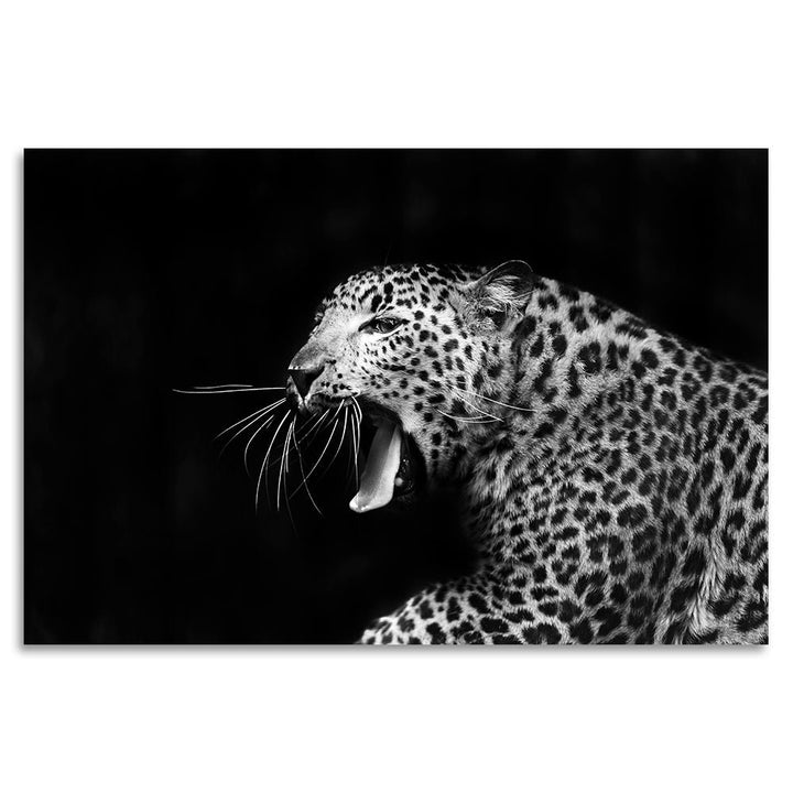 Acrylglas afbeelding - Luipaard