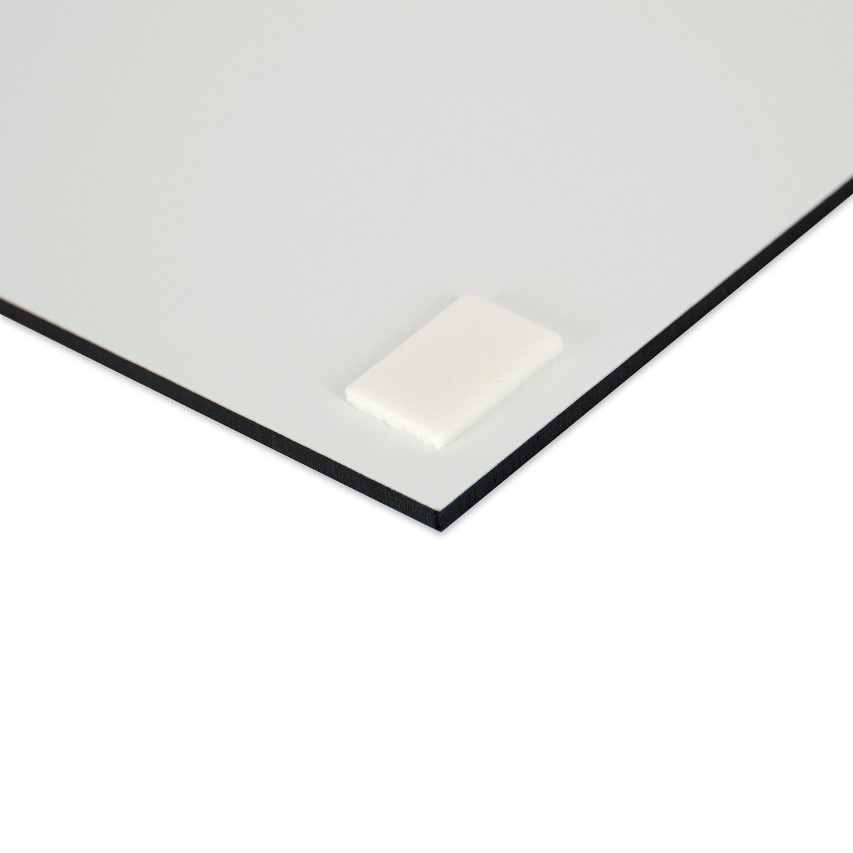 Spatscherm - Flamingo op het strand