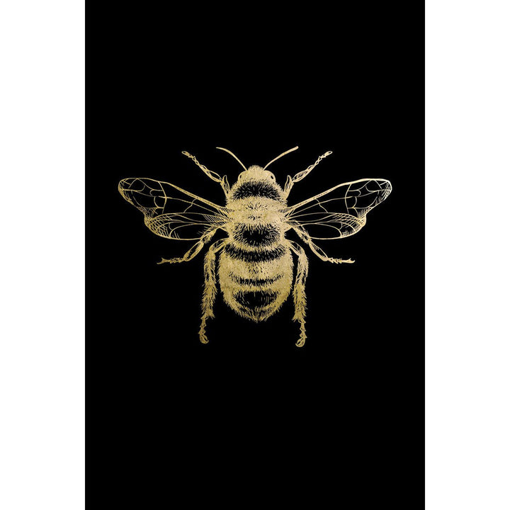 Bladgoud afbeelding - Oskar