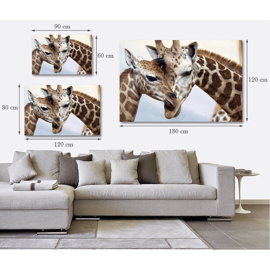 Afbeelding op acrylglas - Verliefde giraffen