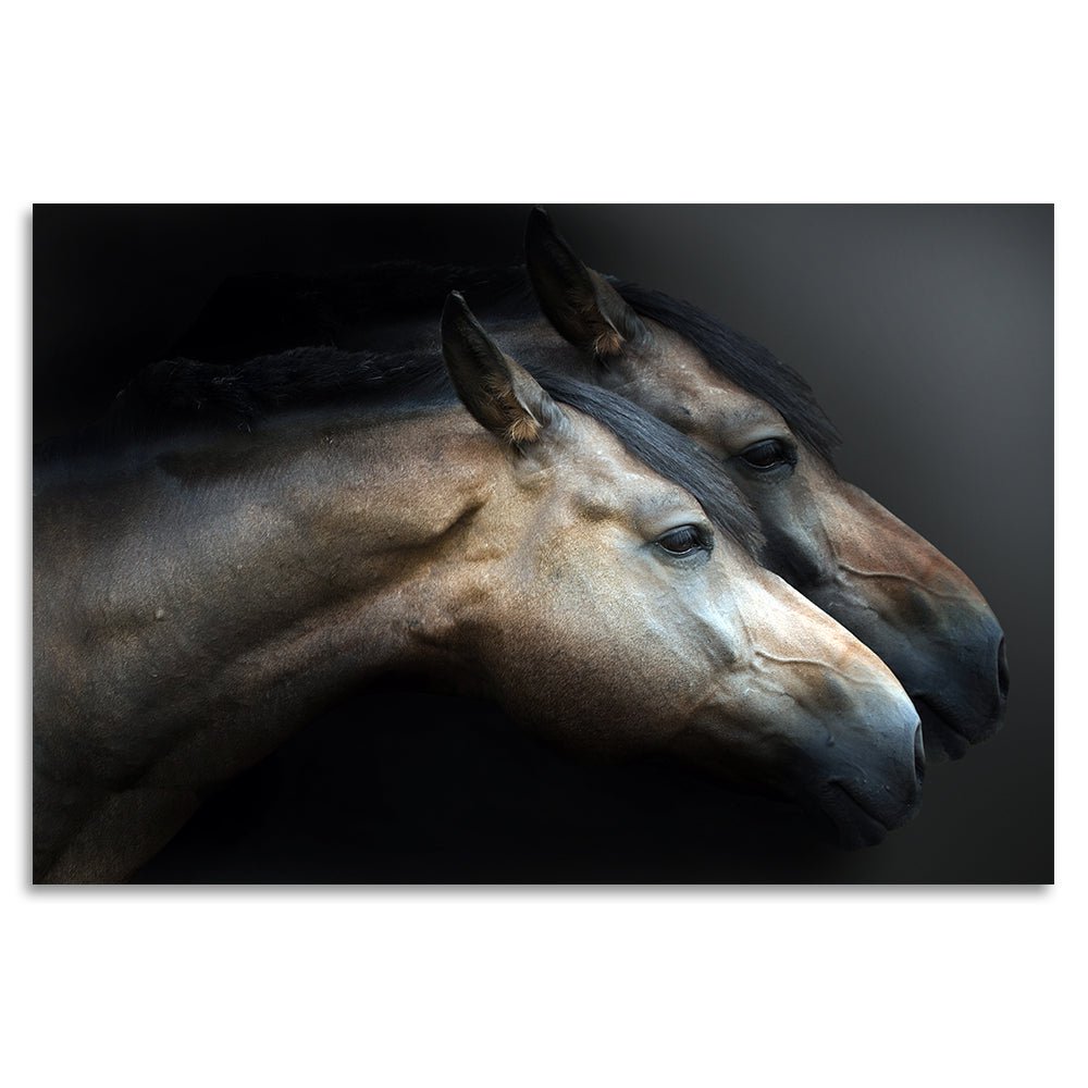 Acrylglas afbeelding - Verbergen