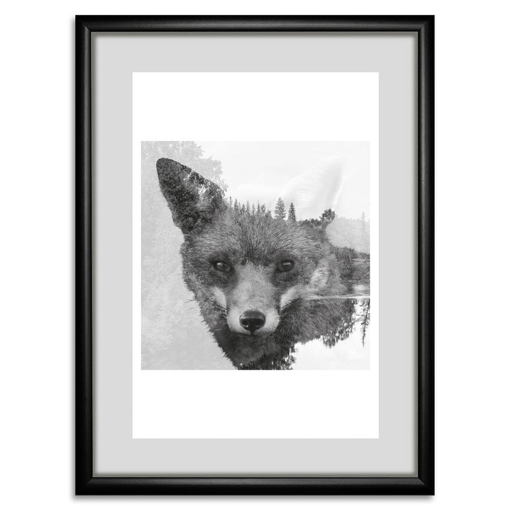 Framefoto - Polair