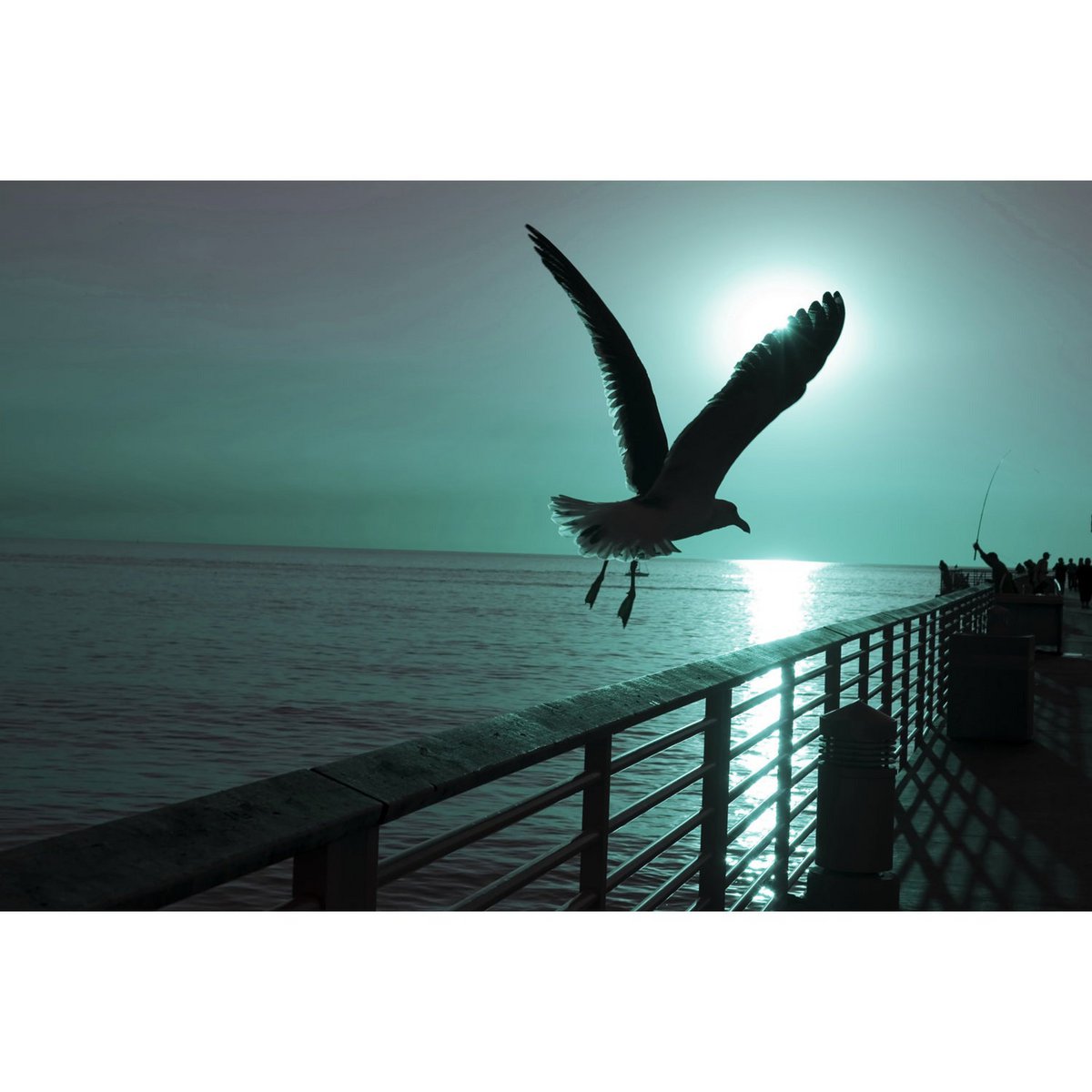 Acrylglas afbeelding - Luzie