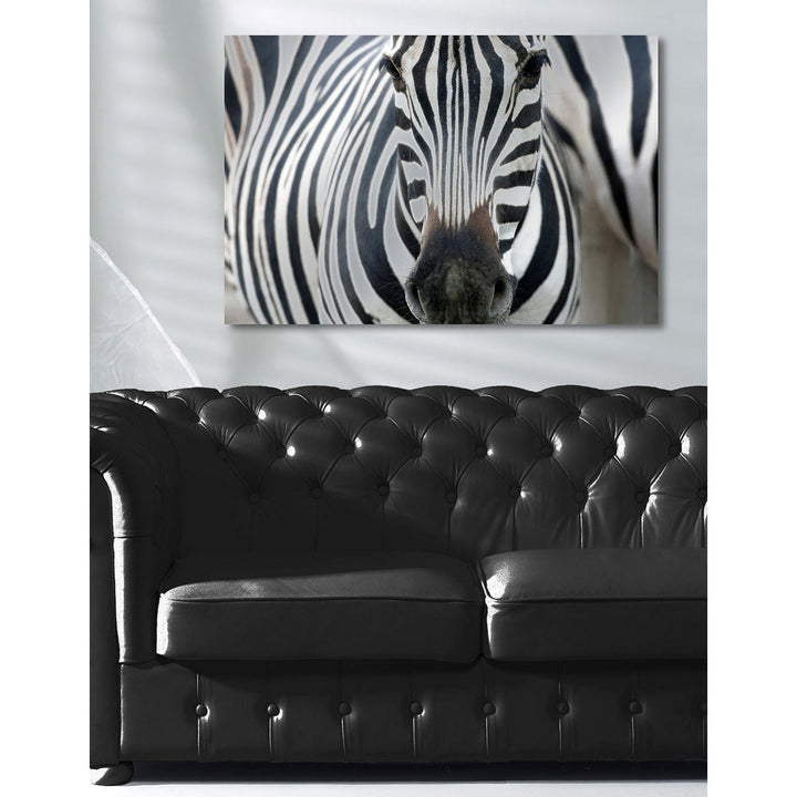 Aluminiumbild – Zebra