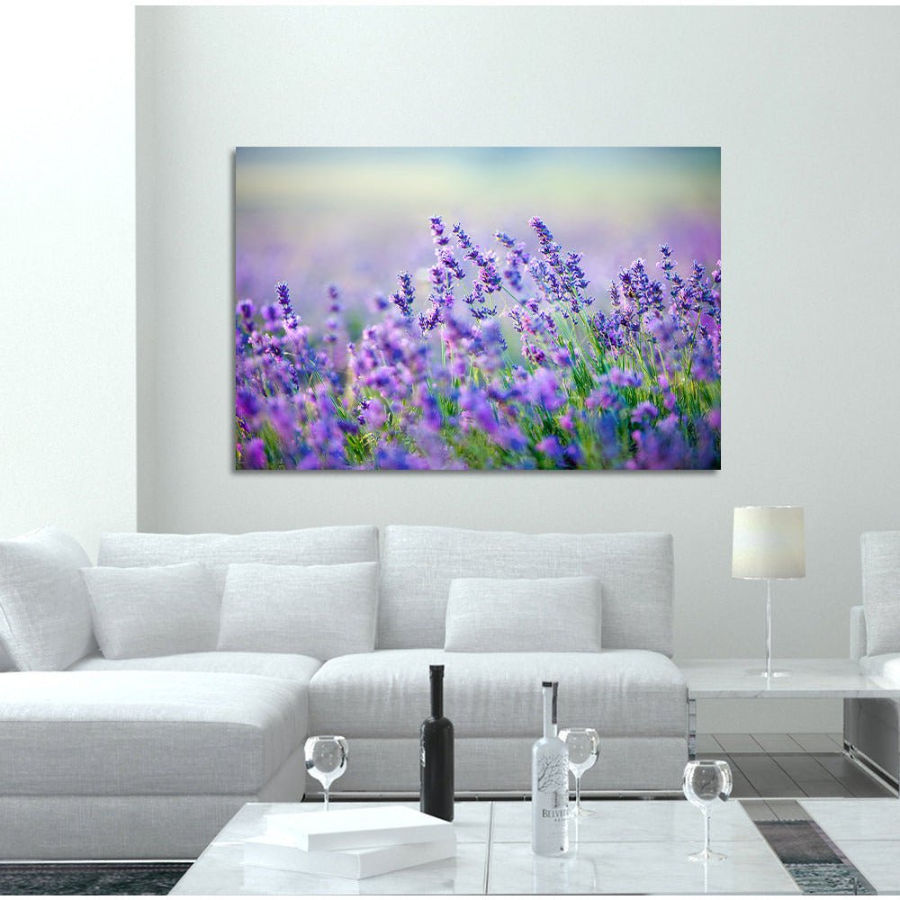 Acrylglas afbeelding - Lavendel