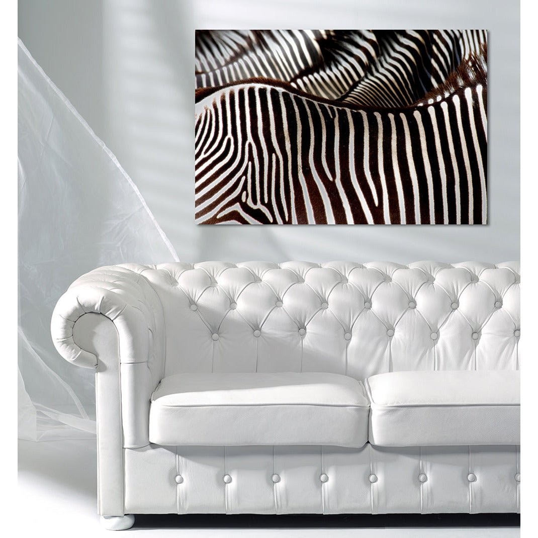 Aluminium foto - Zebrabont