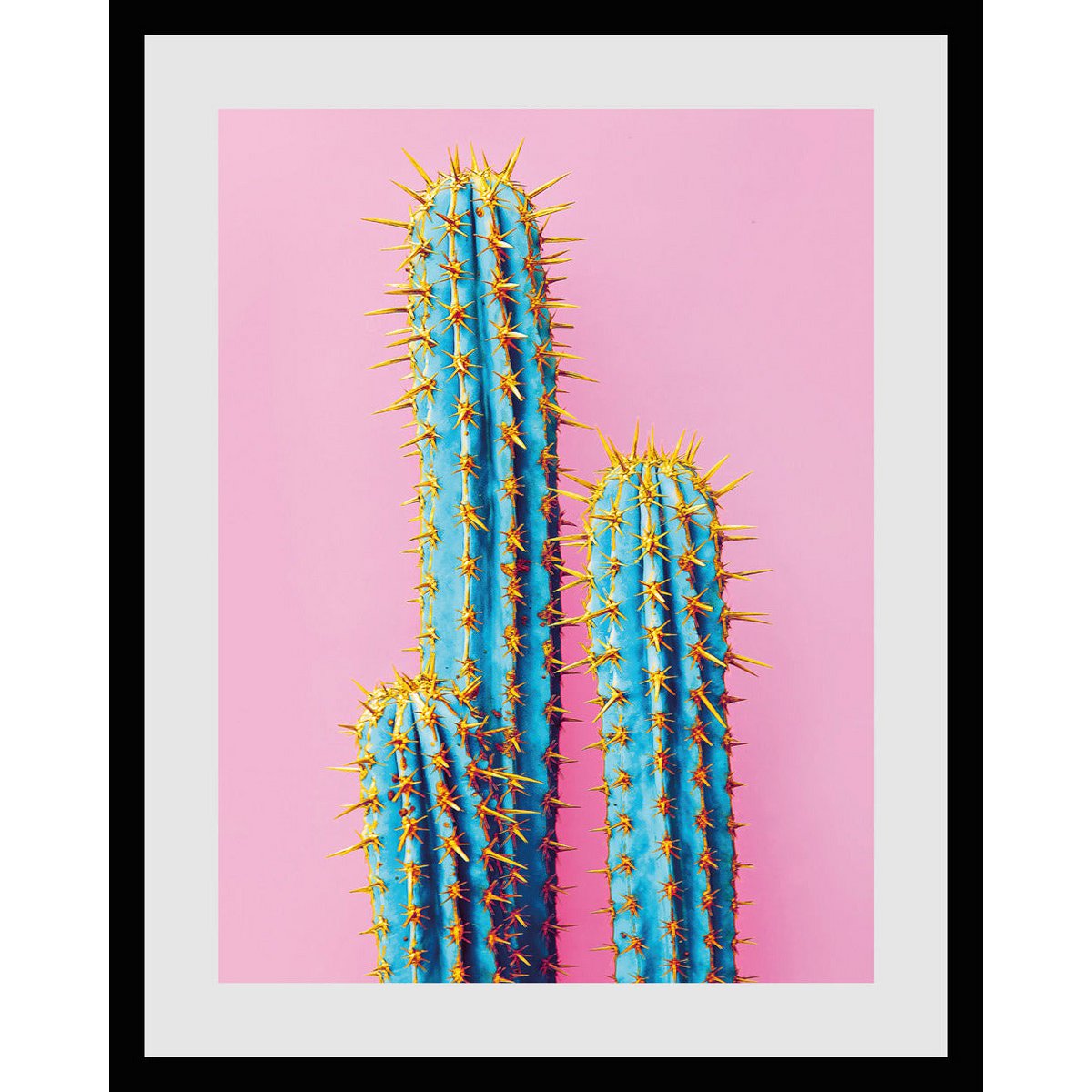 Lijstfoto - Cake-tus