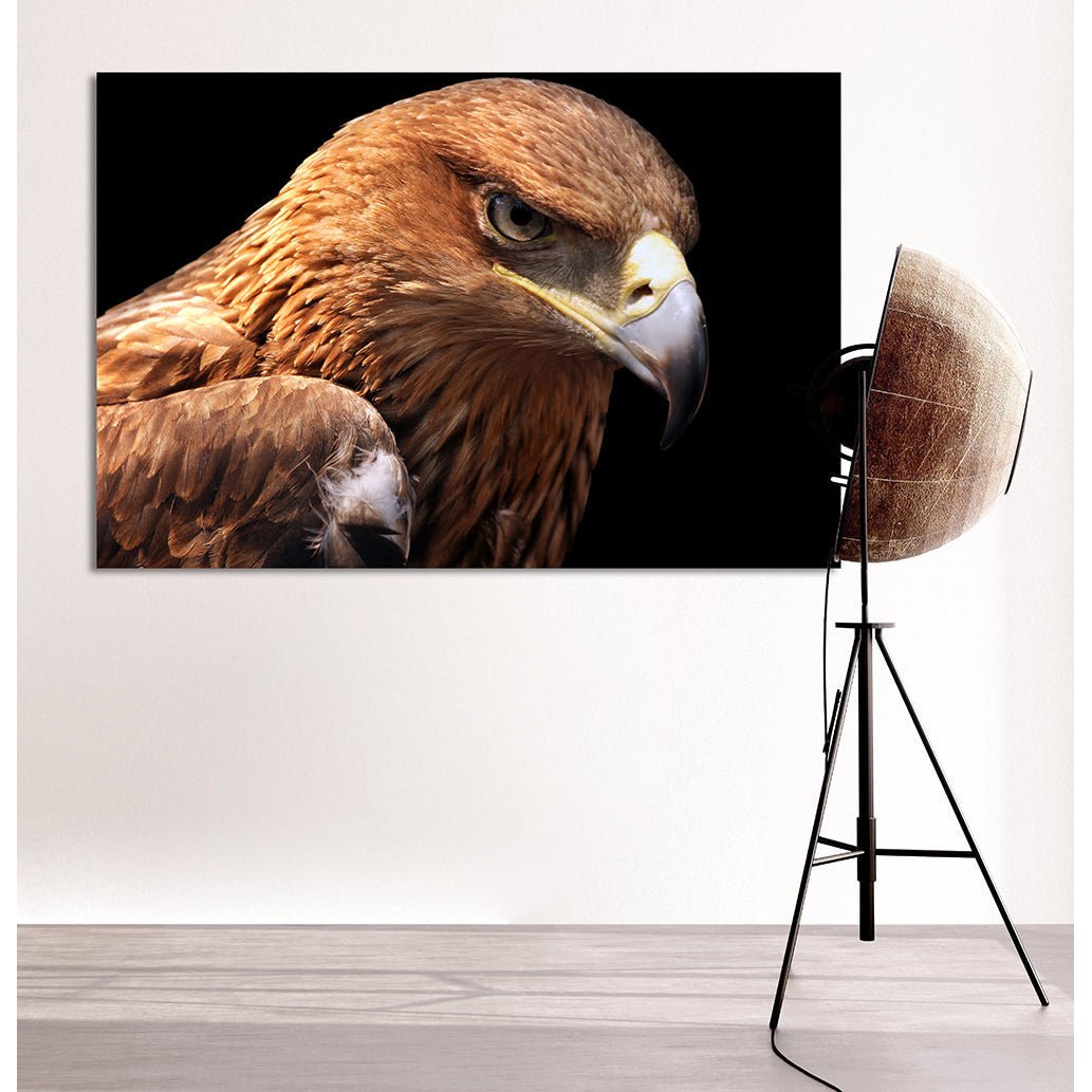 Afbeelding op acrylglas - Like An Eagle