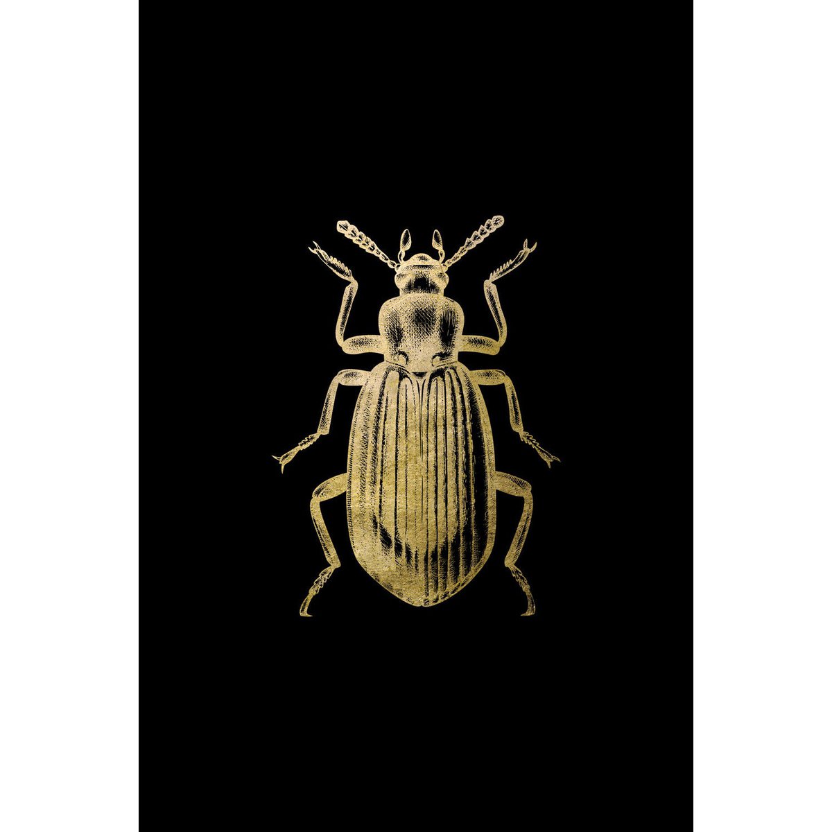 Bladgoud afbeelding - Erik