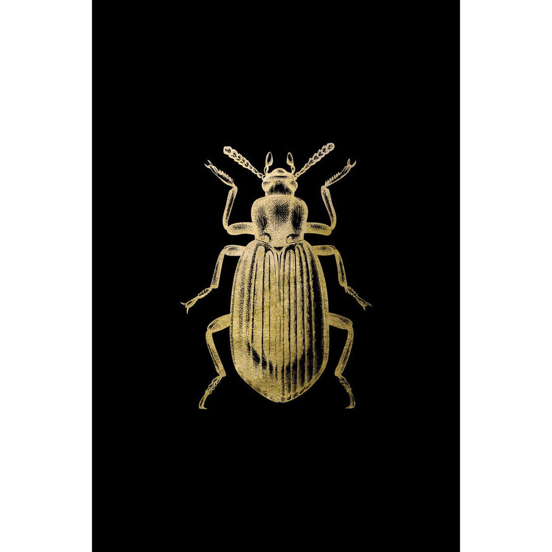 Bladgoud afbeelding - Erik