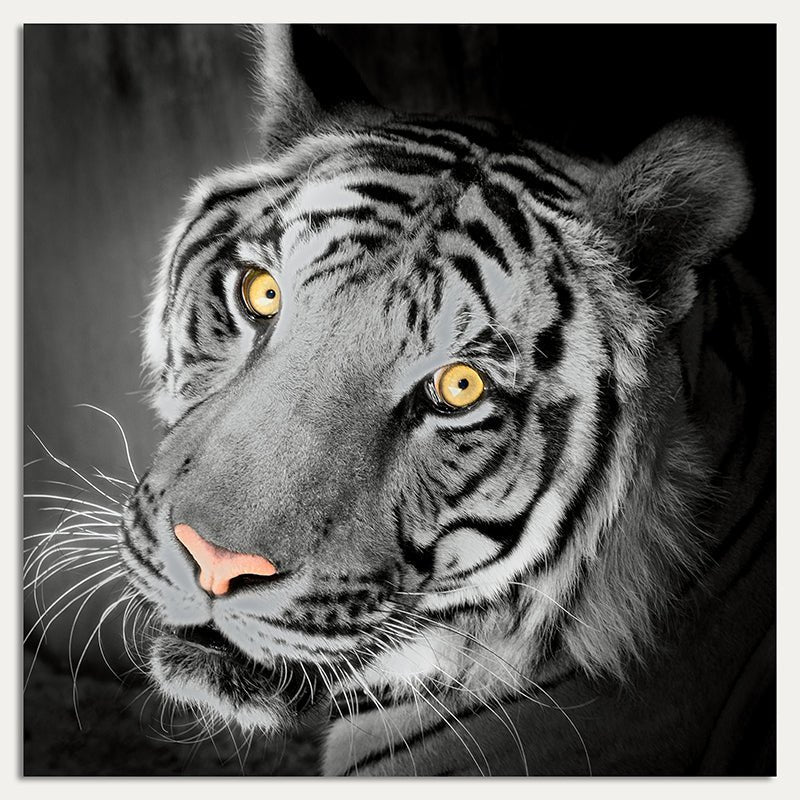 Aluminium foto - Het uitzicht