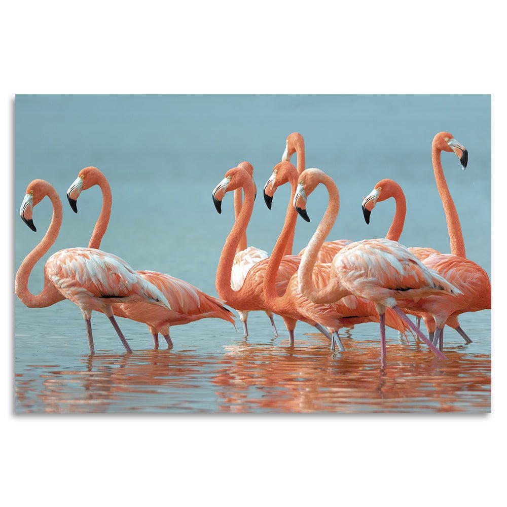 Acrylglas afbeelding - Flamingo Group