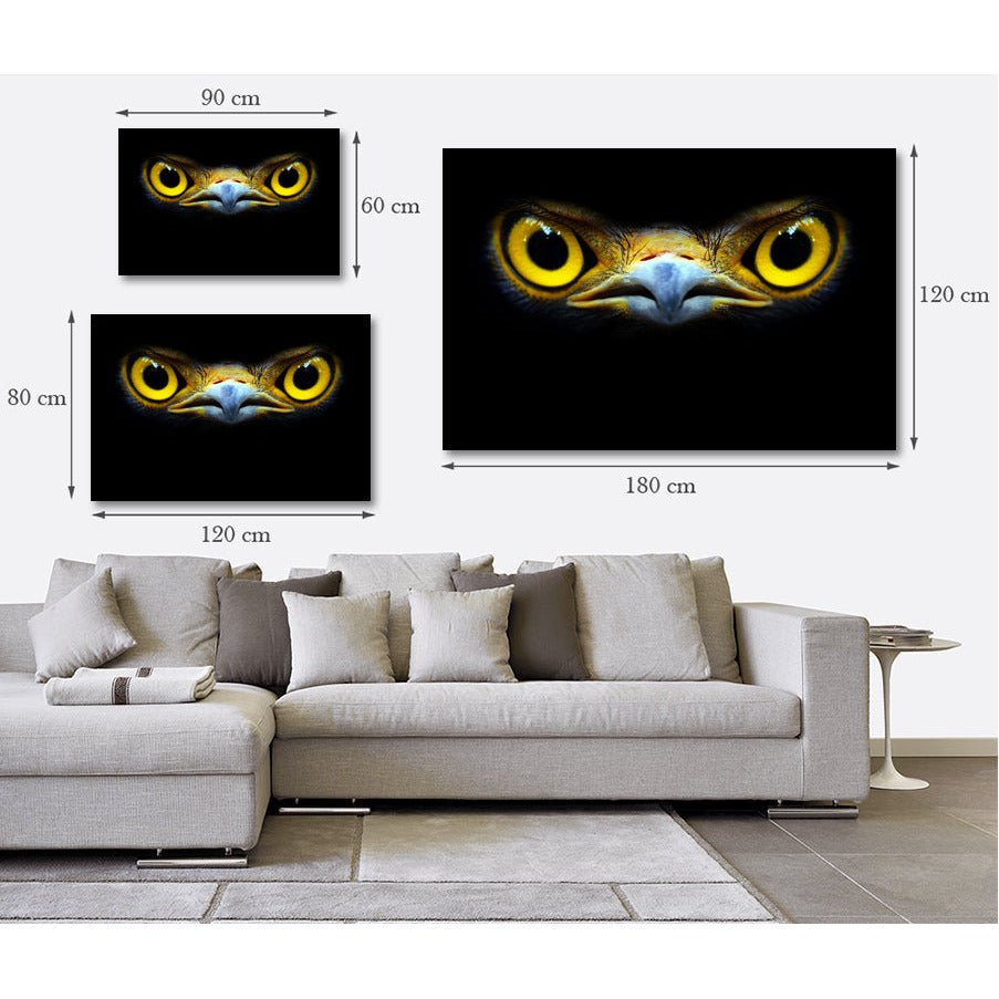 Acrylglasbeeld - Adelaarsogen