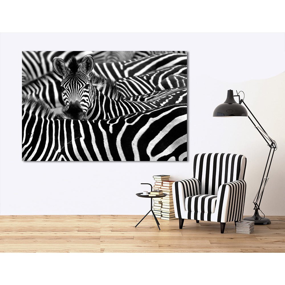 Acrylglas afbeelding - Zebra World
