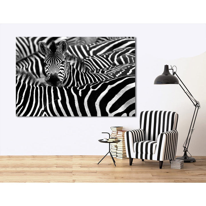 Acrylglas afbeelding - Zebra World