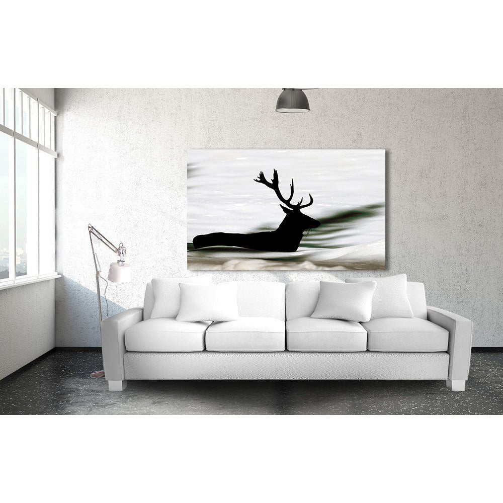 Acrylglas afbeelding - Zwemmend Hert