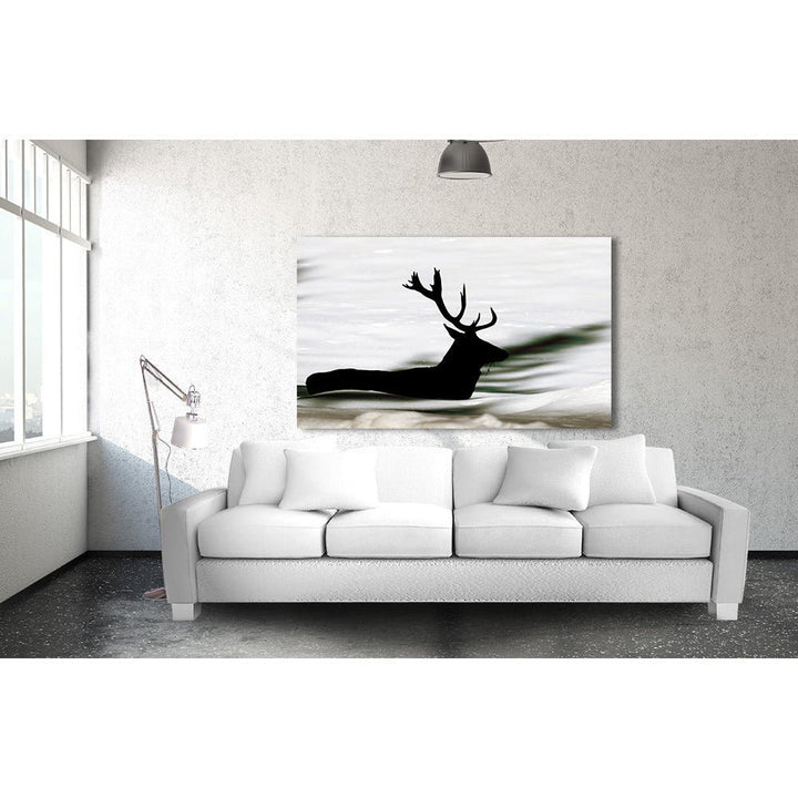 Acrylglas afbeelding - Zwemmend Hert