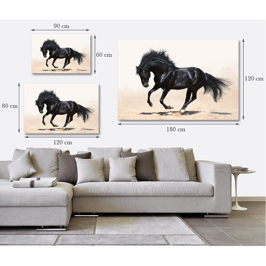 Afbeelding op acrylglas - Zwarte hengst