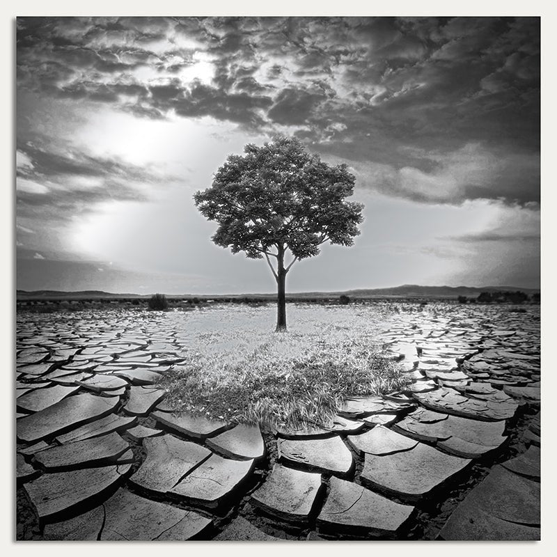 Aluminiumbild - Leven