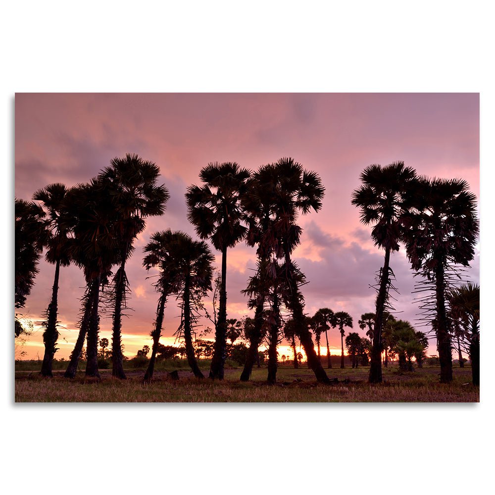 Afbeelding op acrylglas - Sombere zonsondergang