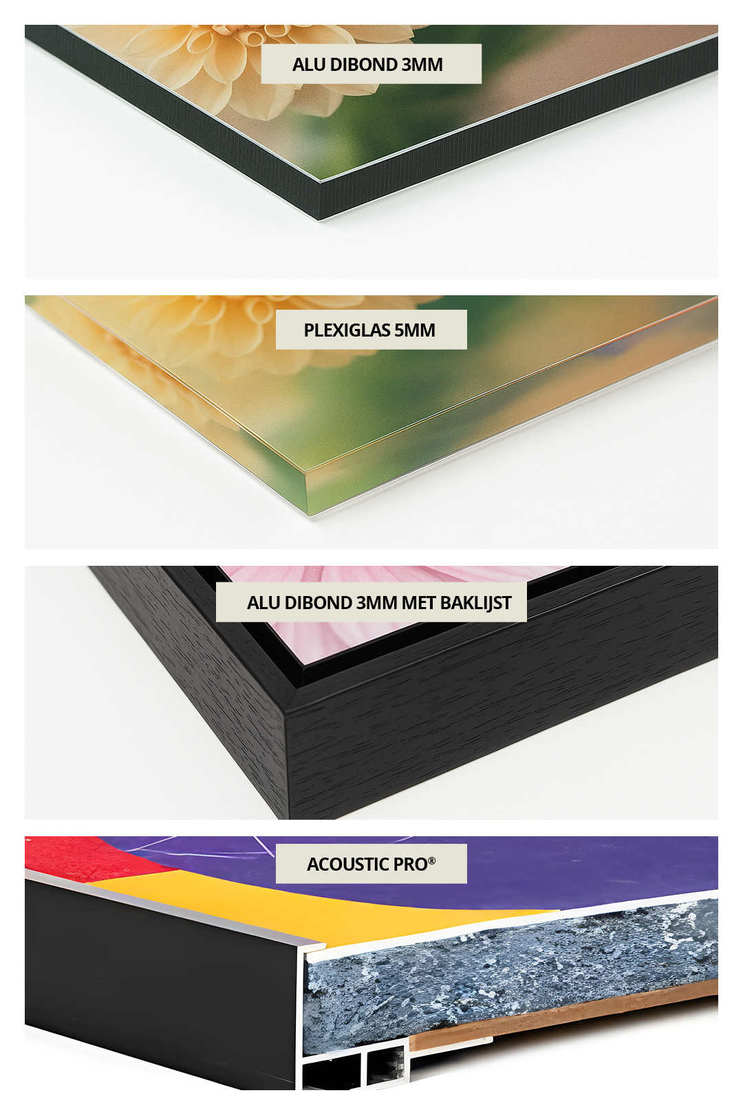 Zomerse Sinaasappel Expressie