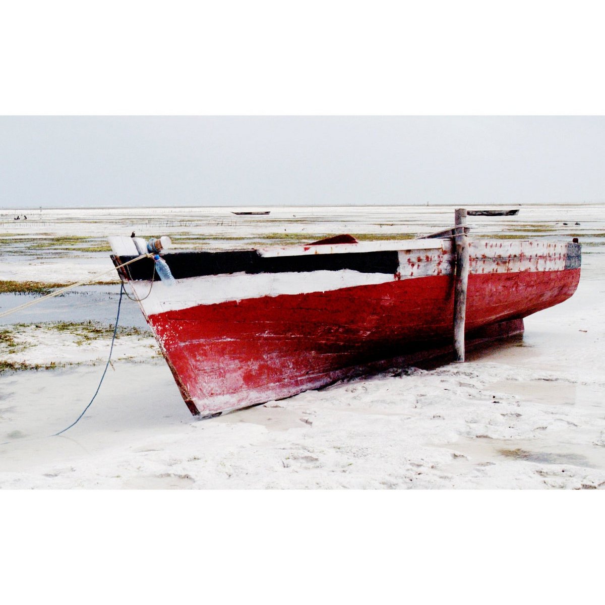 Acrylglas afbeelding - Adelina