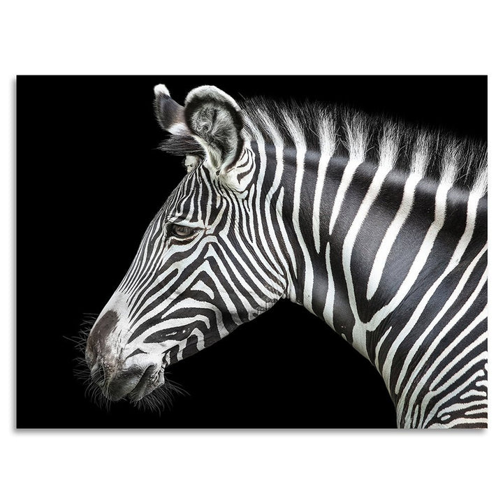 Acrylglasbeeld - Zebra
