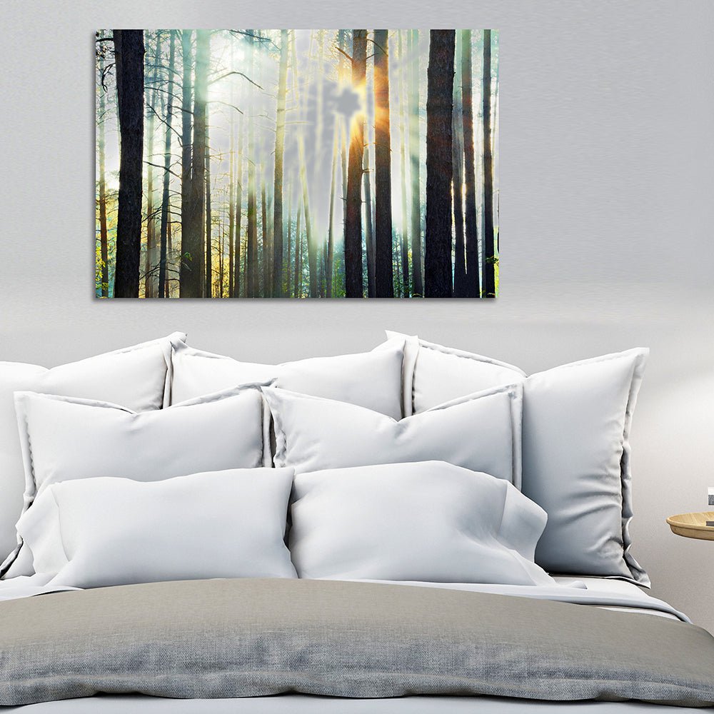 Aluminium Print - Zonnige dag in het bos