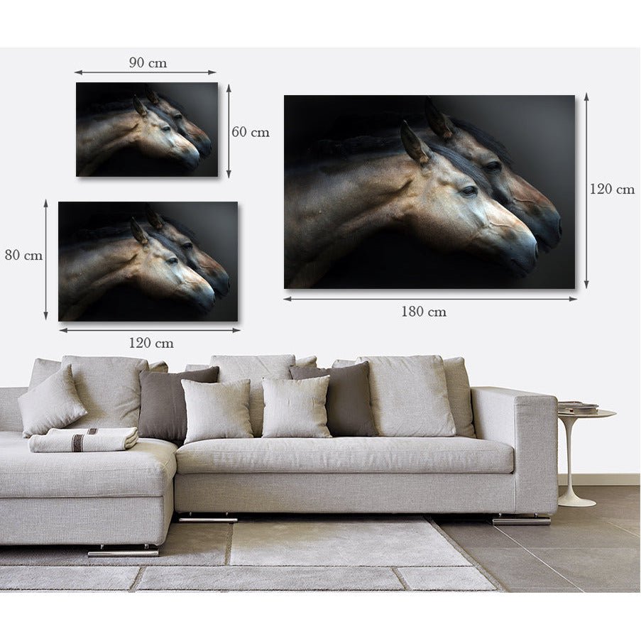 Acrylglas afbeelding - Verbergen