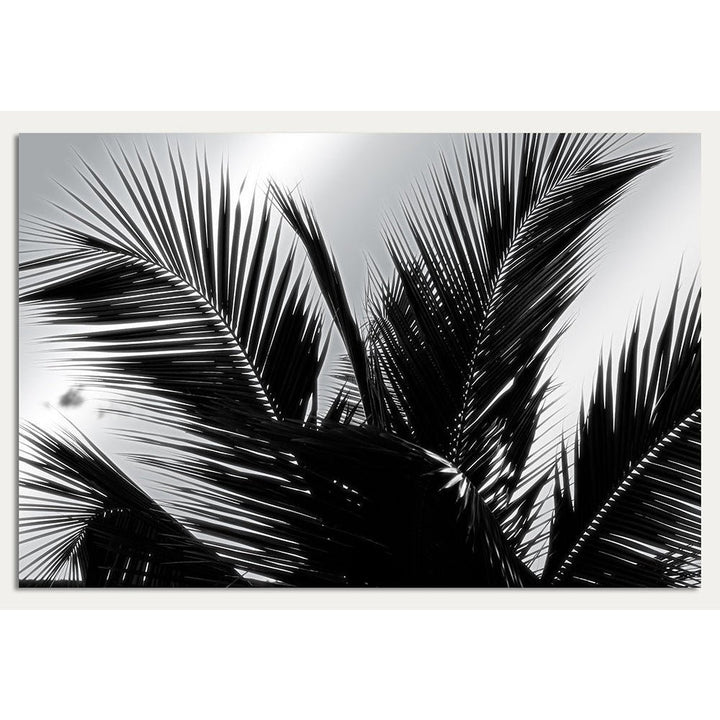 Aluminium foto - Palmboomdetail