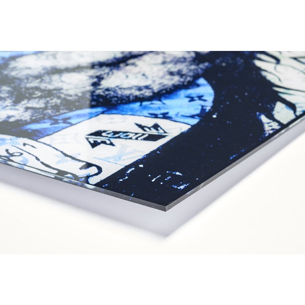 Acrylglas afbeelding - HOLD DOWN LV