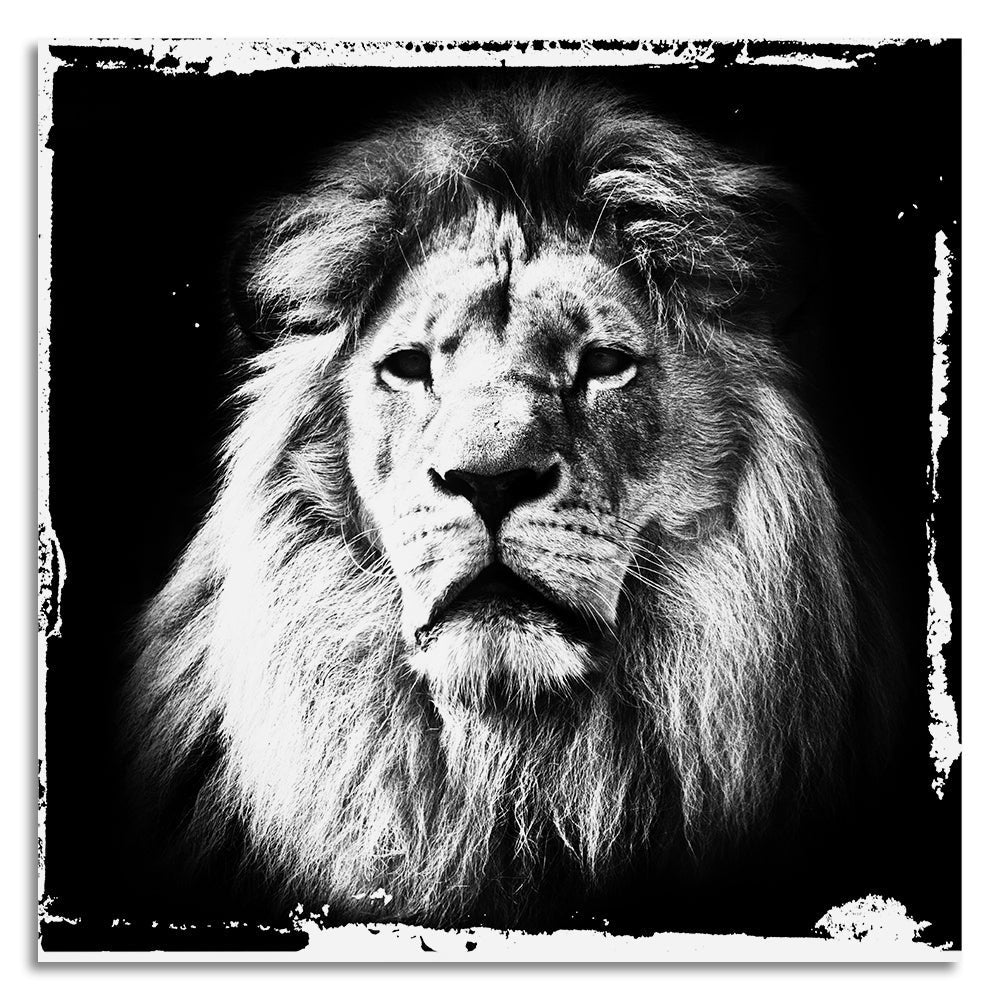 Canvasafdruk - Lions Club