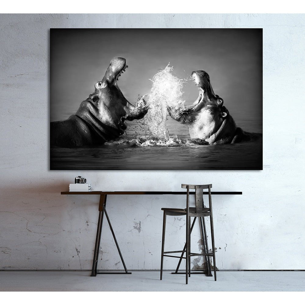 Foto op acrylglas - Happy Hippos