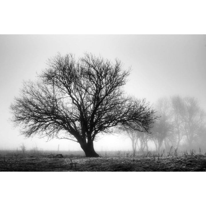 Acrylglas afbeelding - Jessica