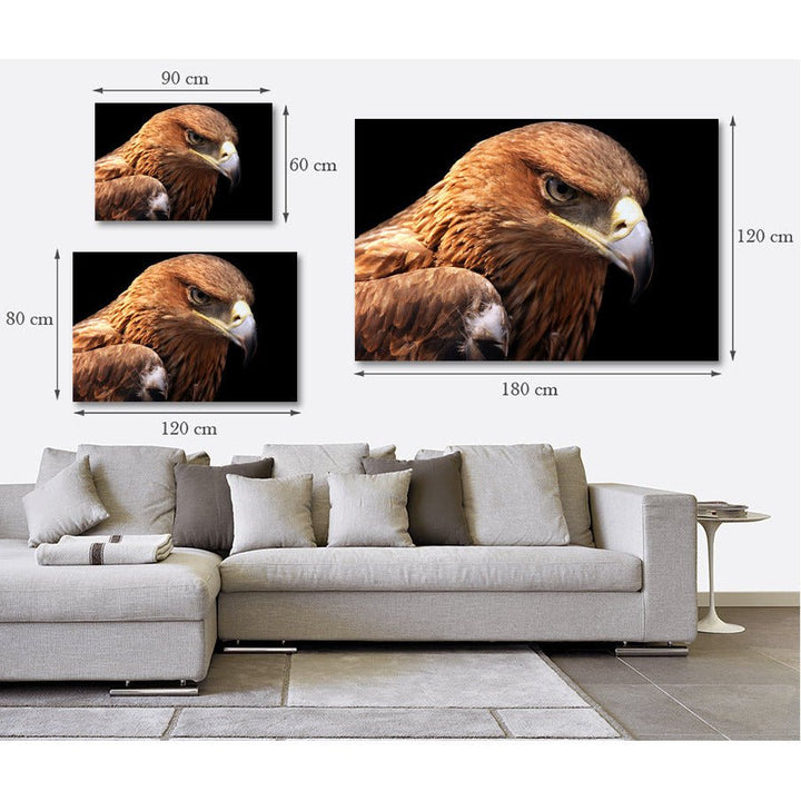 Afbeelding op acrylglas - Like An Eagle