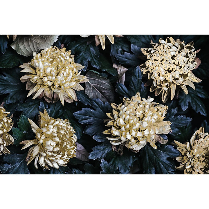 Bladgoud afbeelding - Bo